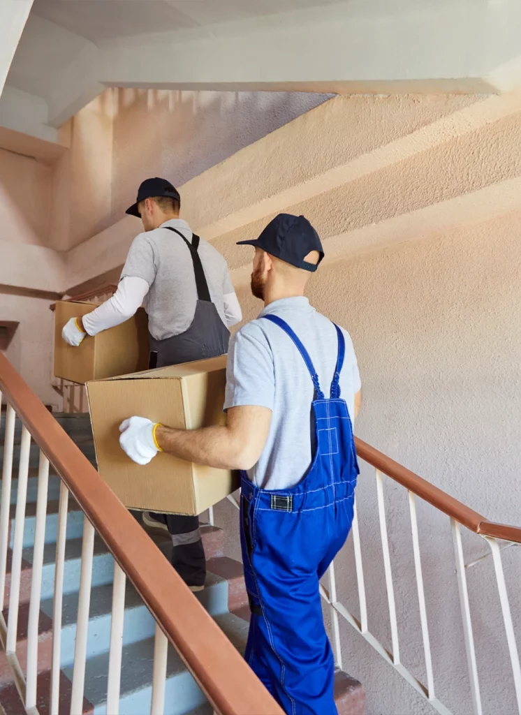 déménagement choisir entreprise bulle qualidem