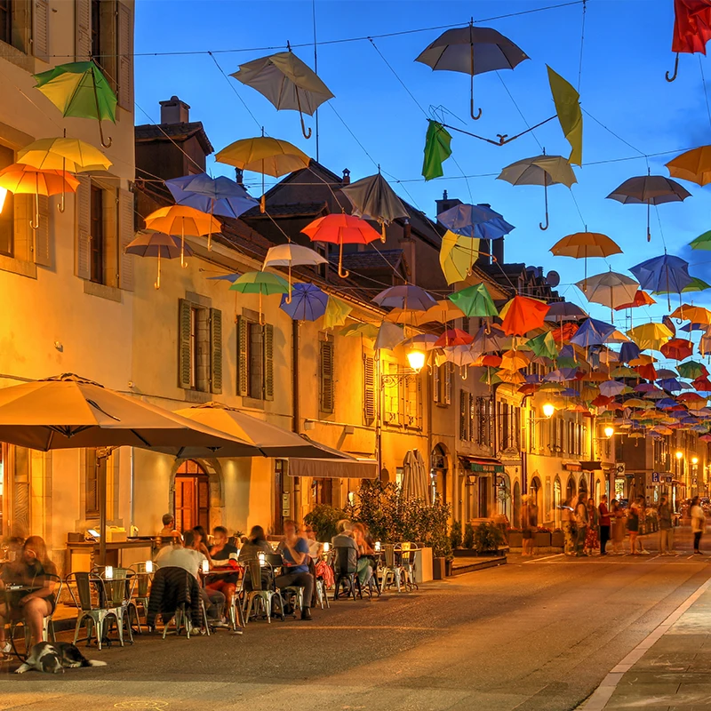 déménager à Carouge canton Genève Qualidem déménagement
