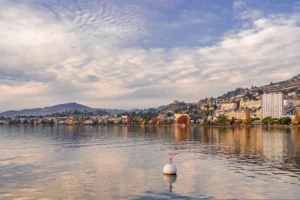 déménager a montreux qualidem entreprise de déménagement