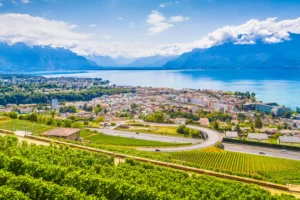 déménager à vevey qualidem déménagement